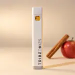 Spiced Apple Cider (Hybrid) Live Resin THCa Disposable Vape Pen