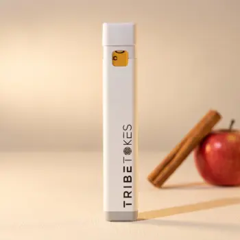 Spiced Apple Cider THCa live resin disposable vape pen standing upright with a cinnamon stick and red apple behind it
