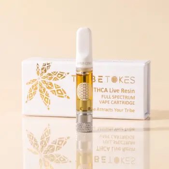 Spiced Apple Cider THCa live resin vape cart standing in front of its white and gold TribeTokes box, mouthpiece labeled Apple Cider