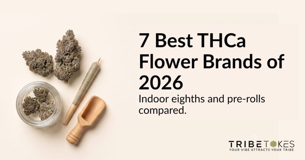 Trichome-frosted indoor THCa flower buds, a filled glass jar and a rolled pre-roll, showing the quality indicators used to compare THCa flower brands