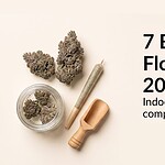 Trichome-frosted indoor THCa flower buds, a filled glass jar and a rolled pre-roll, showing the quality indicators used to compare THCa flower brands