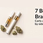 THCa vape cartridge and disposable pen beside trichome-frosted cannabis flower buds, showing the products compared in the best THCa vape brands rank