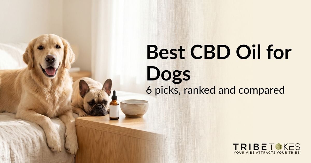 Golden retriever and French Bulldog resting on a cream blanket beside an amber dropper bottle of pet CBD oil