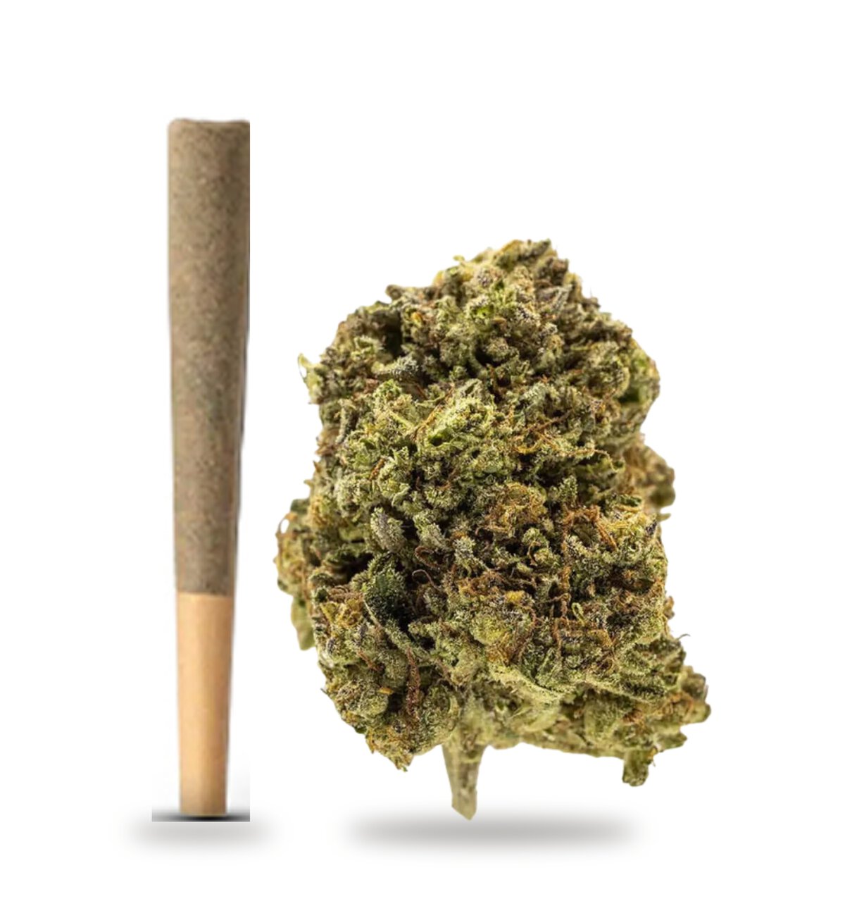 GG4 strain, also sold as Gorilla Glue #4: whole-flower pre-roll and cured flower nug