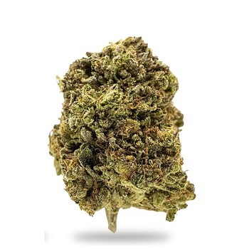 GG4 THCa flower nug (originally Gorilla Glue #4), dense green buds with amber hairs, on a white background