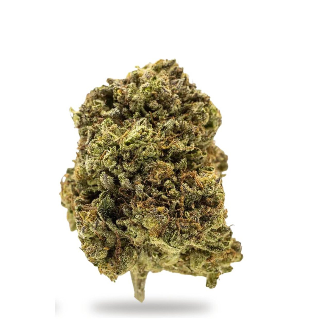 GG4 THCa Flower