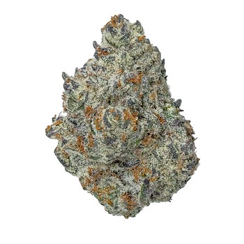 Ice Cream Cake THCa flower nug, frosty buds with purple leaf tips and orange hairs, on a white background