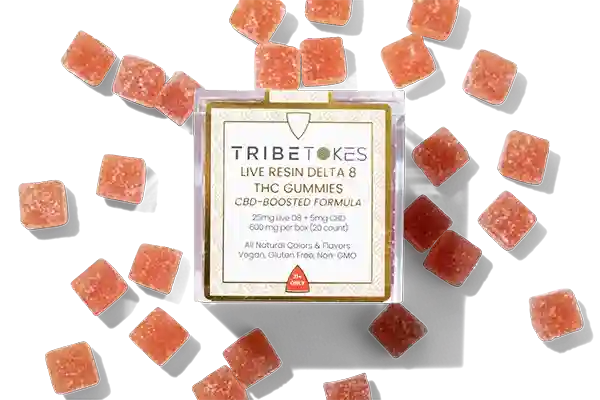 Live resin gummies from TribeTokes: THC, Delta 8, CBD and CBN formulas, lab tested