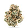 Sour Diesel THCa Prerolls 5-Pack | Regular (1.0g) or Mini (0.5g)