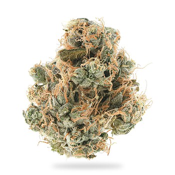 Sour Diesel THCa flower nug, frosty green buds with long orange hairs, on a white background